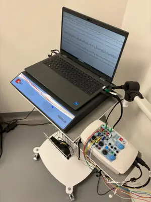 Evcil Hayvanlarda EEG