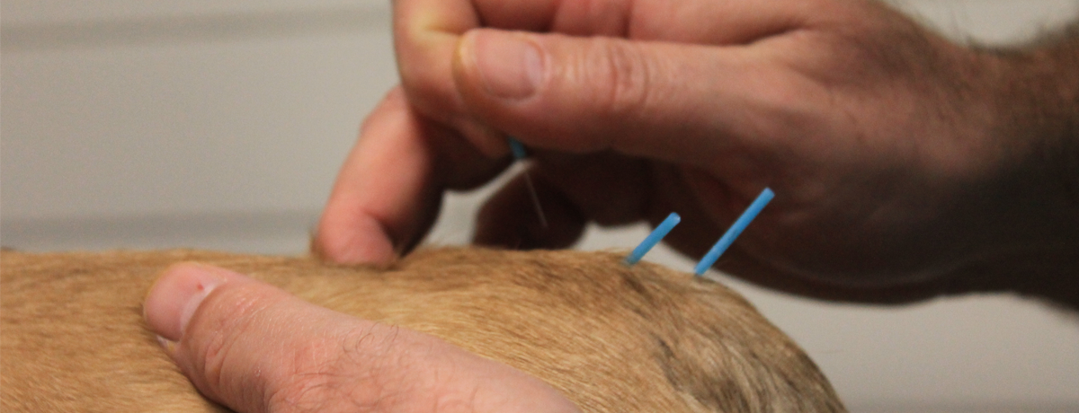 Complementary medicine unit at Urlavet
