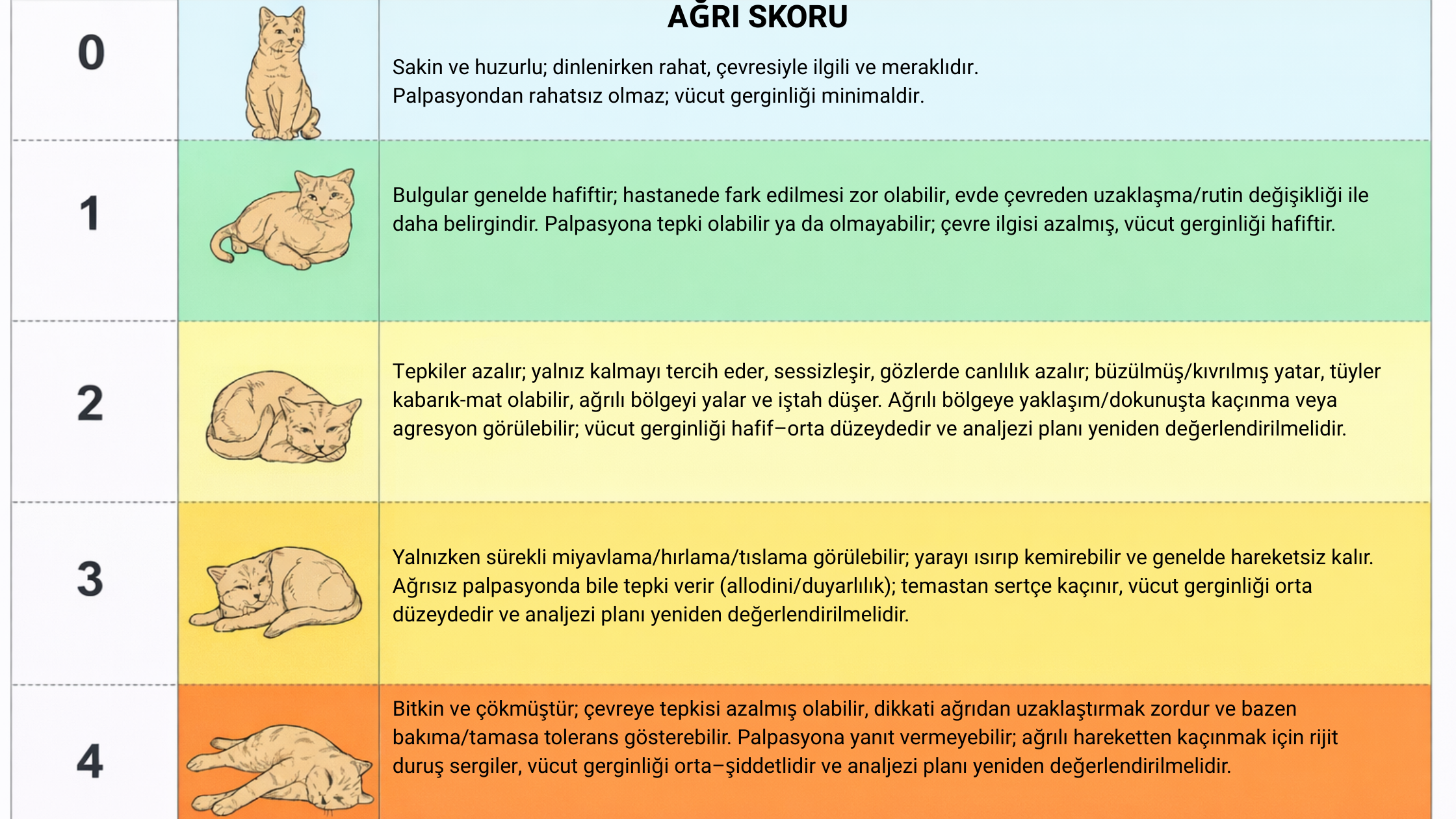 Kedilerde yüz ifadesine dayalı ağrı değerlendirme skalası - Feline Grimace Scale