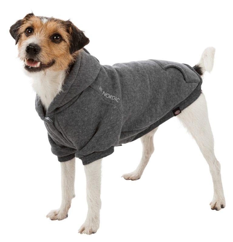 Köpek kıyafeti