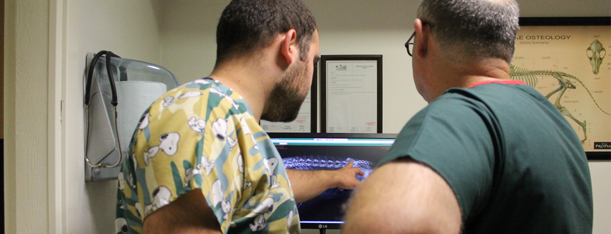 Ortopedi ve ağrı yönetimi birimi